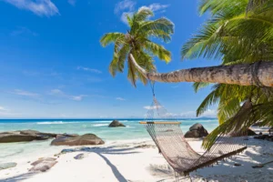 Planning a Seychelles Trip? Read This Health Advisory First