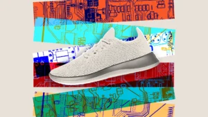 Allbirds AI Pivot: From Sneakers to Supercomputing
