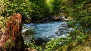 Mystery Solved: Body Found in Sleeping Bag Finally Identified Nearly Three Decades Later